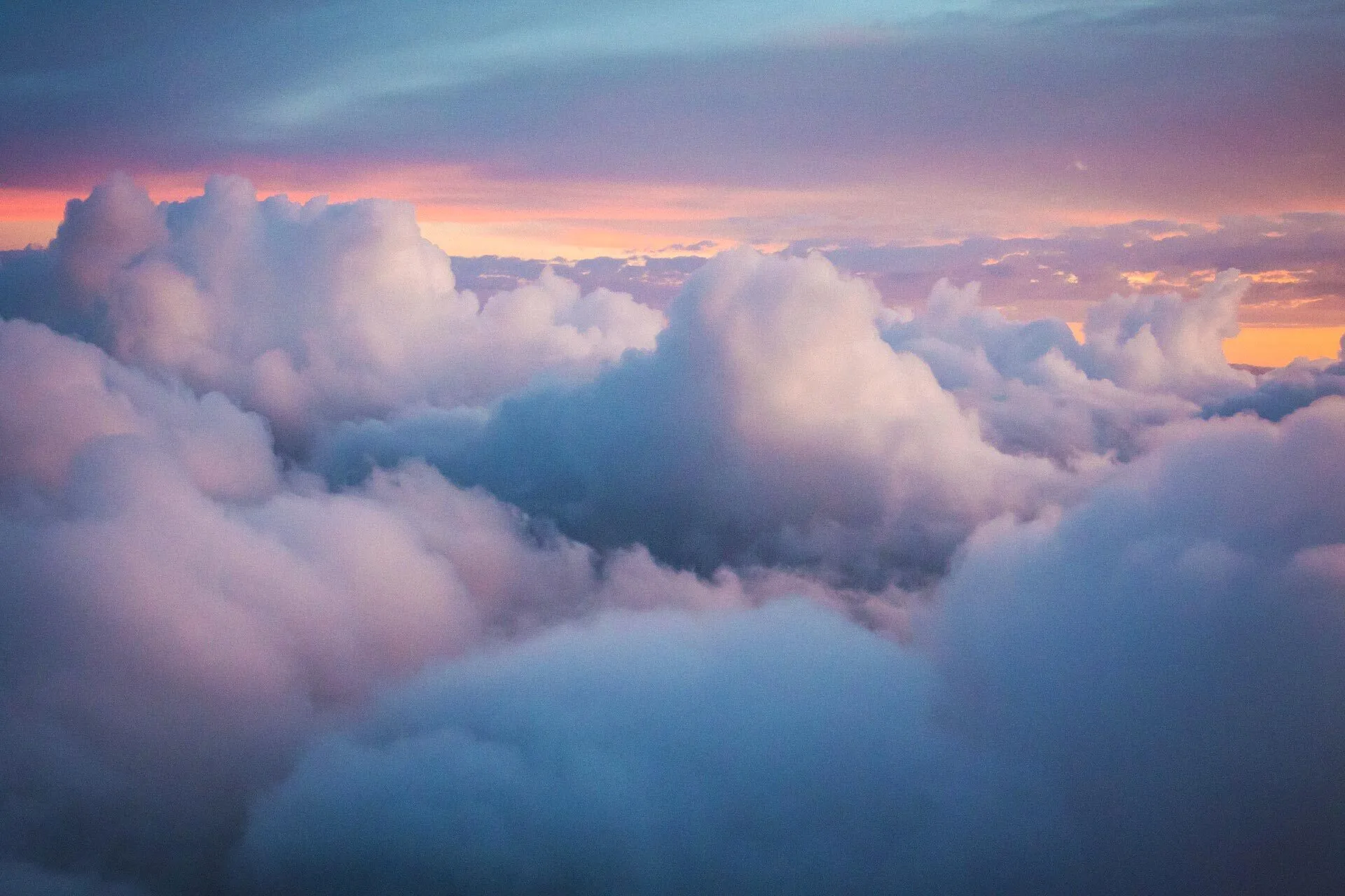 Pilot reviewing flight school policies and procedures